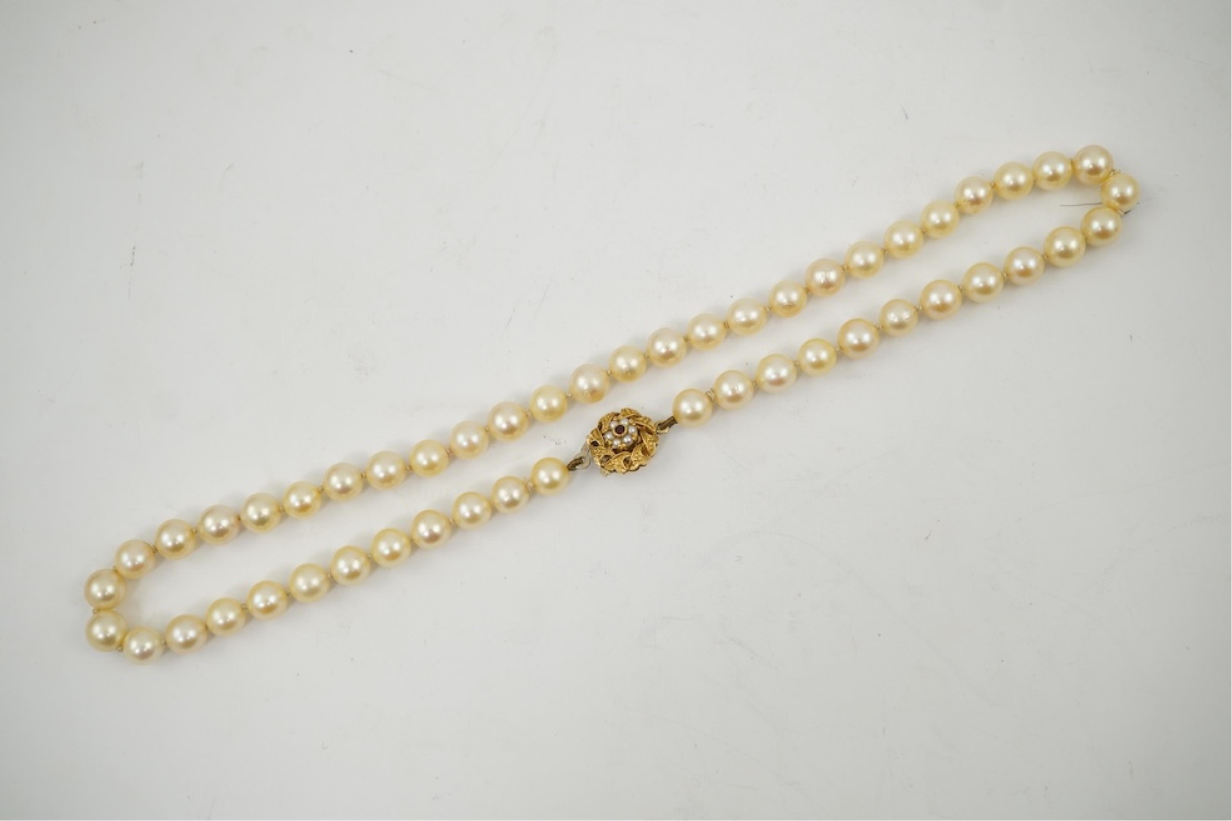 A single strand cultured pearl necklace, wit an 18ct gold, ruby and seed pearl cluster set clasp, 40cm.